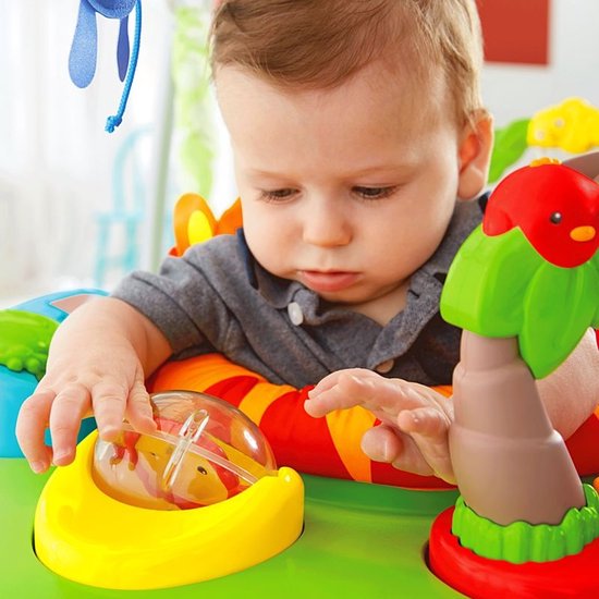 dauw abces Drijvende kracht Fisher-Price Jumperoo - Vergelijk Prijzen Roarin' Rainforest Wipstoel