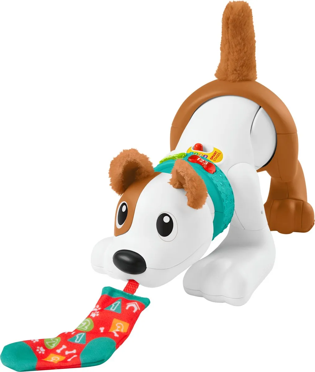 Fisher-Price Kruip met Puppy - Babyspeelgoed met Licht en Geluid speelgoed