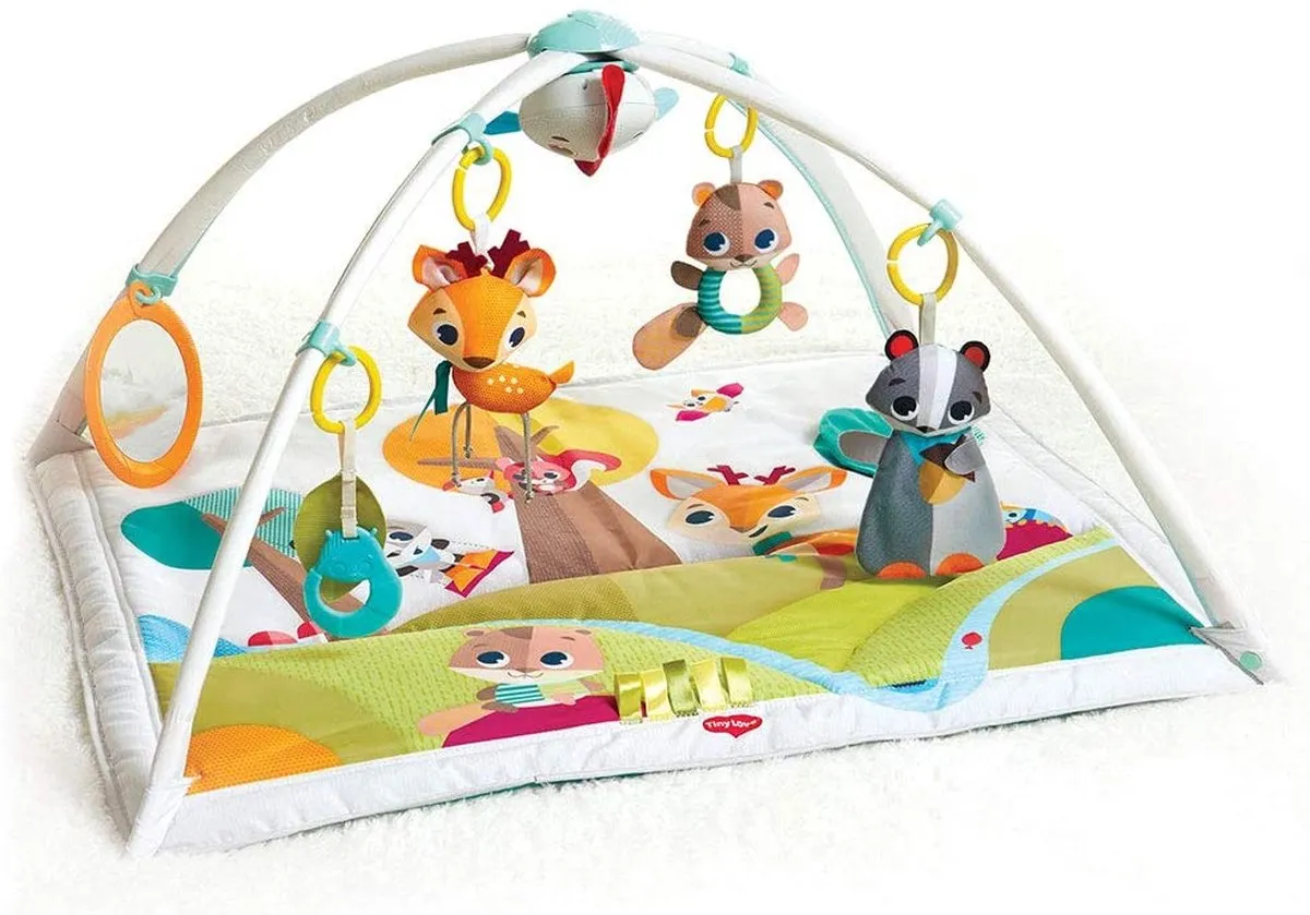 Tiny Love Gymini Deluxe, Baby Speelkleed met Muziek en Baby Activity Gym, Geschikt vanaf de Geboorte, 0m +, 88 x 78 cm, Into the Forest speelgoed